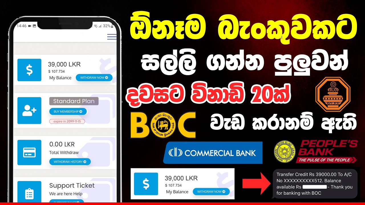 Earn Money Online 2023 | How to make money online | E Money Sinhala | Payeebux Sinhala