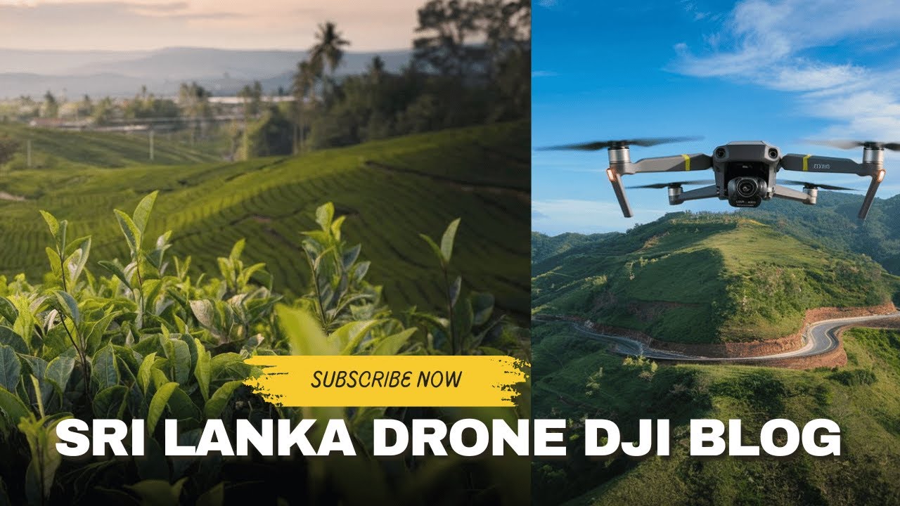 Top 10 Drone Photography Locations in Sri Lanka | DJI Dron Blog #DJIAir3S #djiair3s #vlog #viral