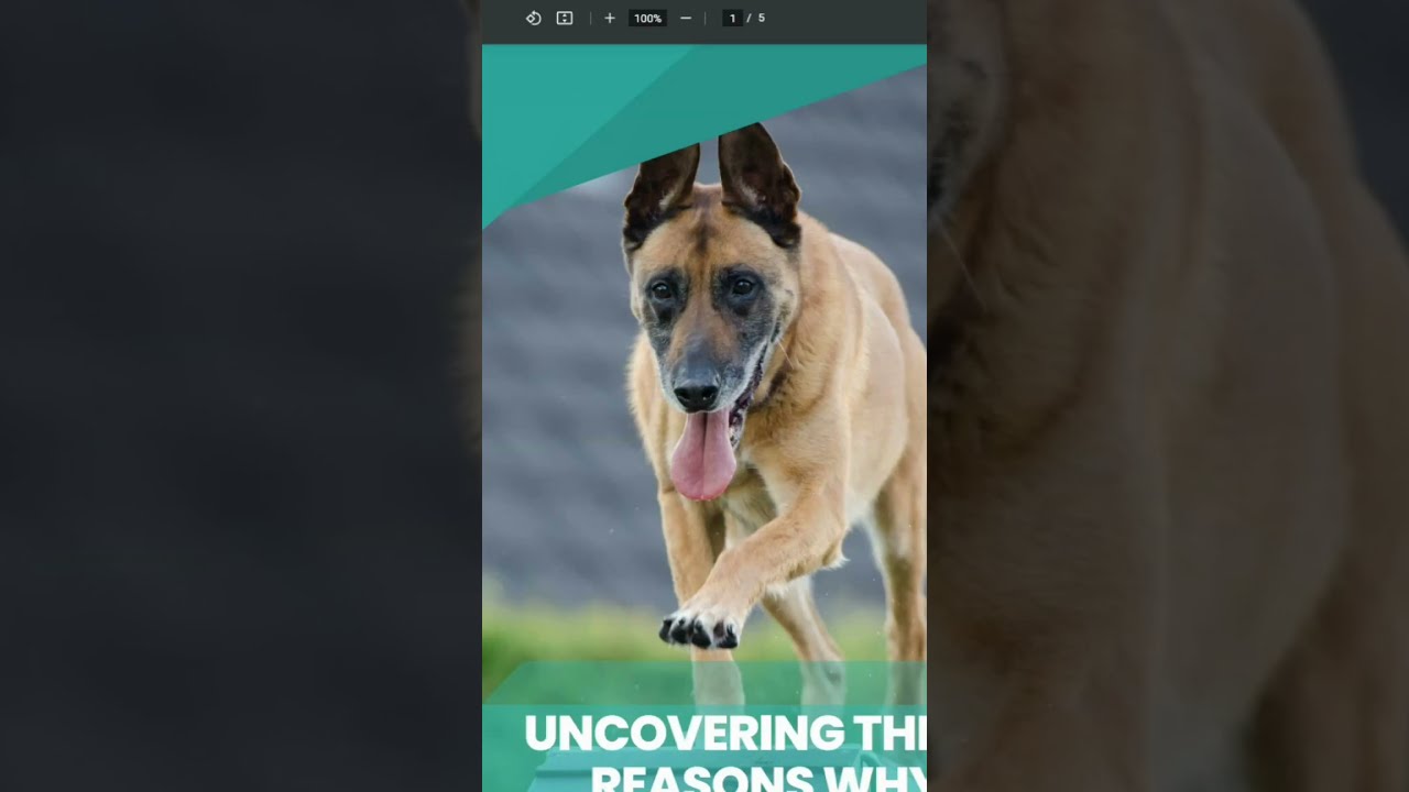 How to Earn Money Online with Clickbank, Medium and Jasper AI? #shorts